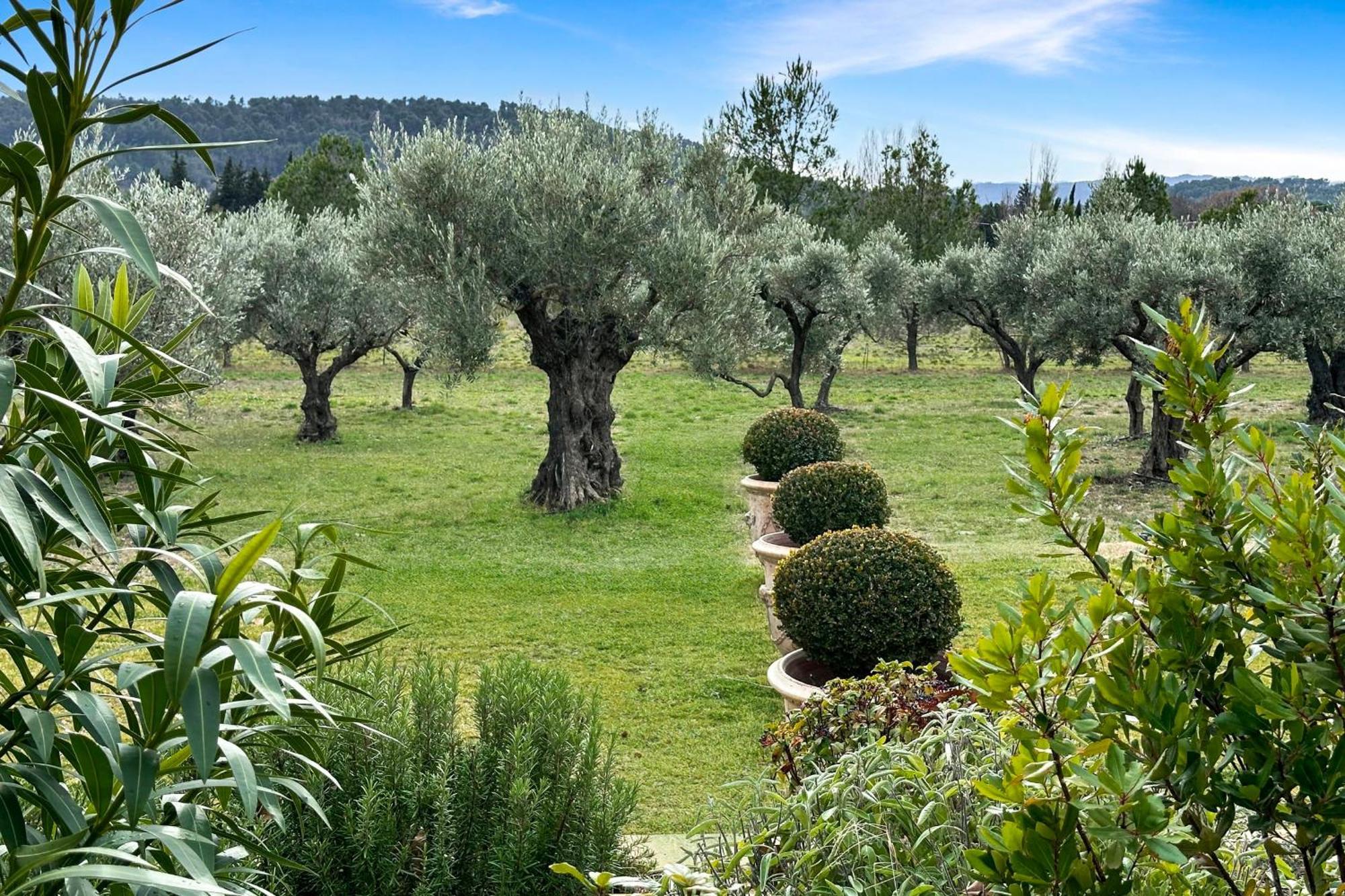 Appartement I Bastide La Graviere I Electio Lourmarin Ngoại thất bức ảnh